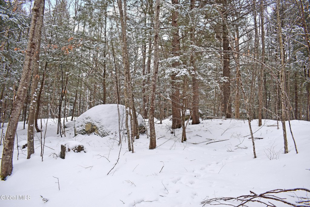 Picture 14