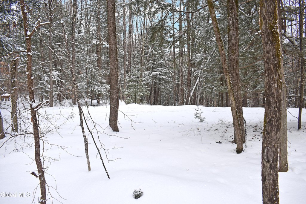 Picture 19