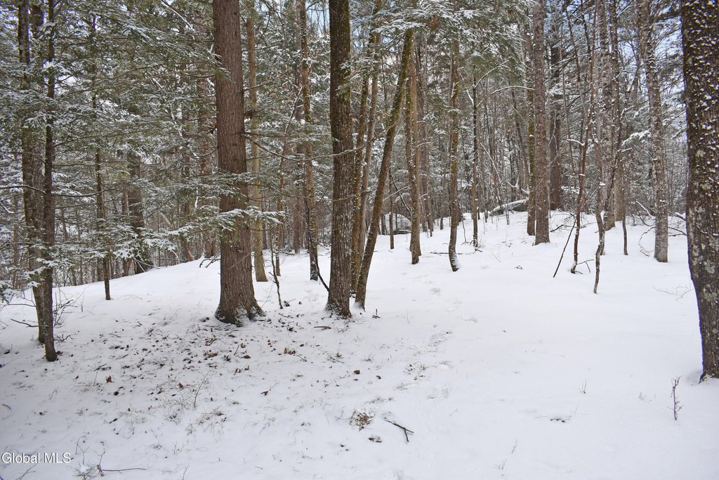 Picture 23