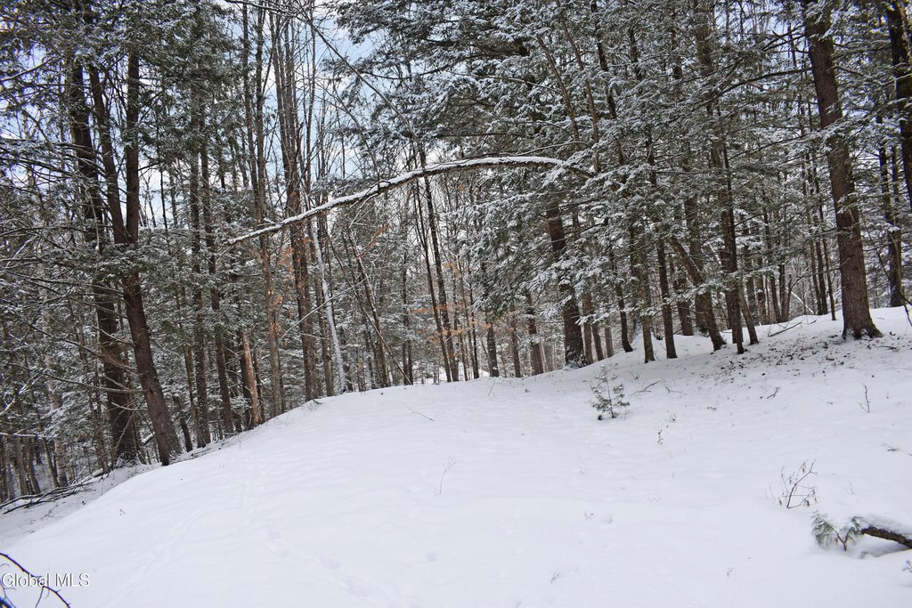 Picture 8