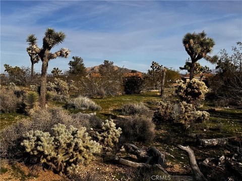 Vacant Land in Yucca Valley