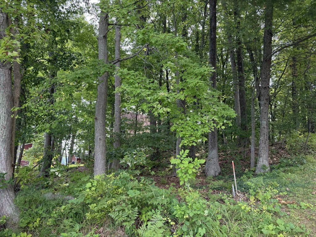 Picture 20