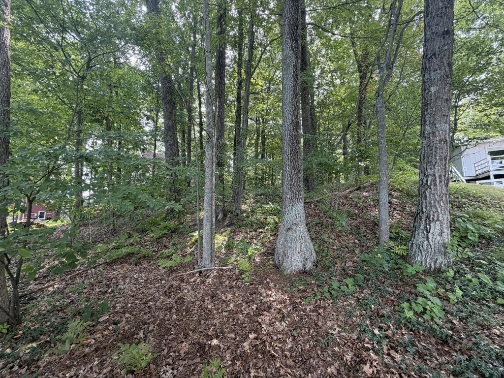 Picture 19