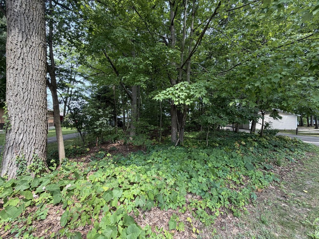 Picture 10