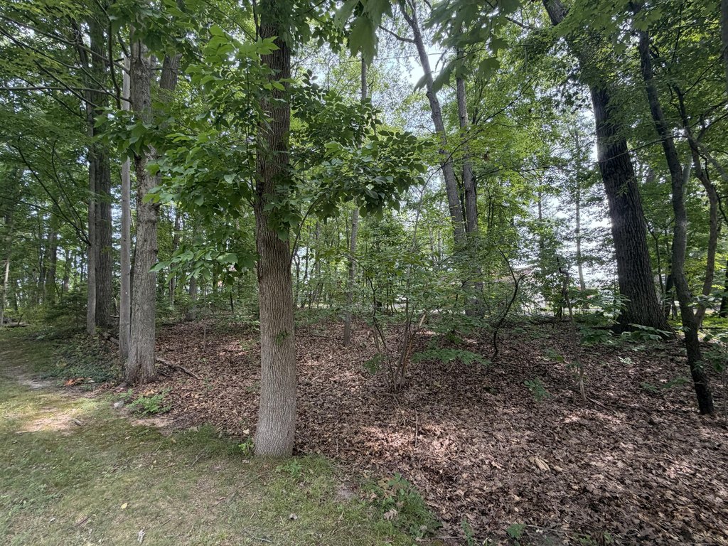 Picture 11