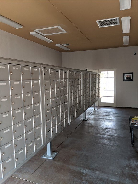 Picture 17
