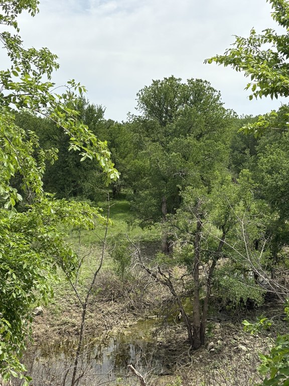 Picture 4