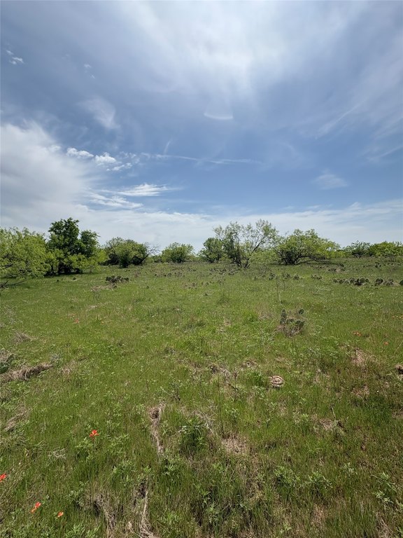 Picture 12