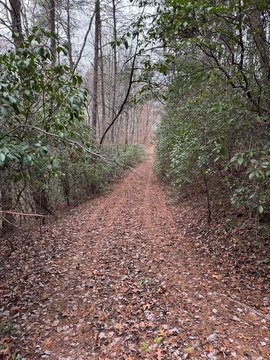 LAND - Murphy, NC