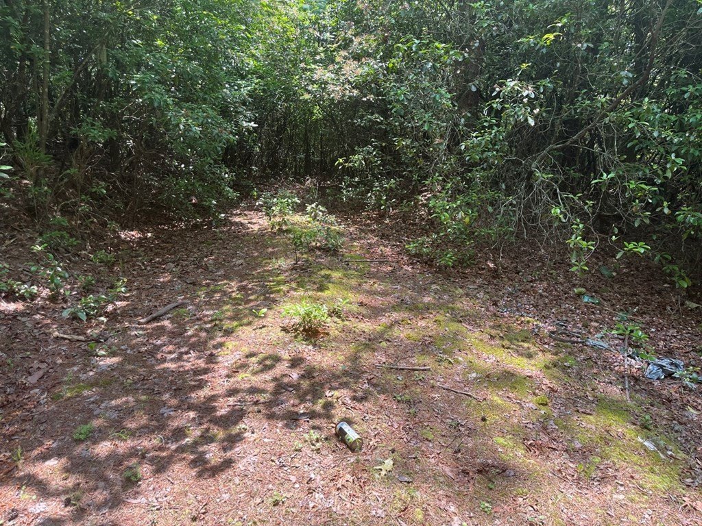 Picture 3
