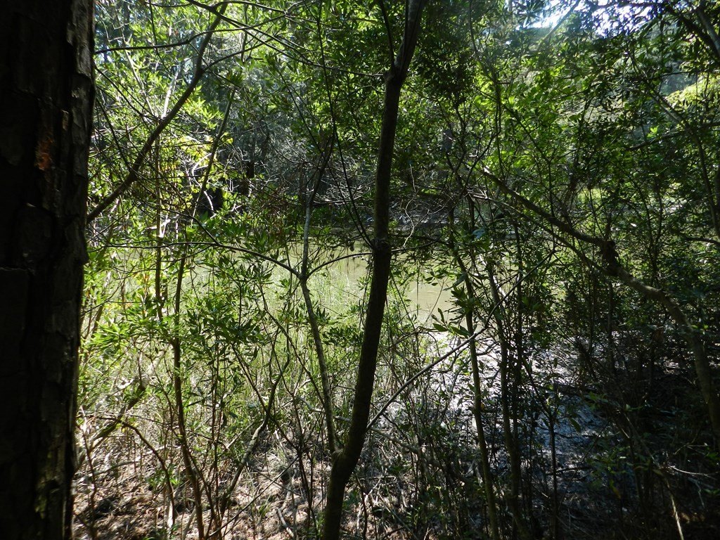Picture 9
