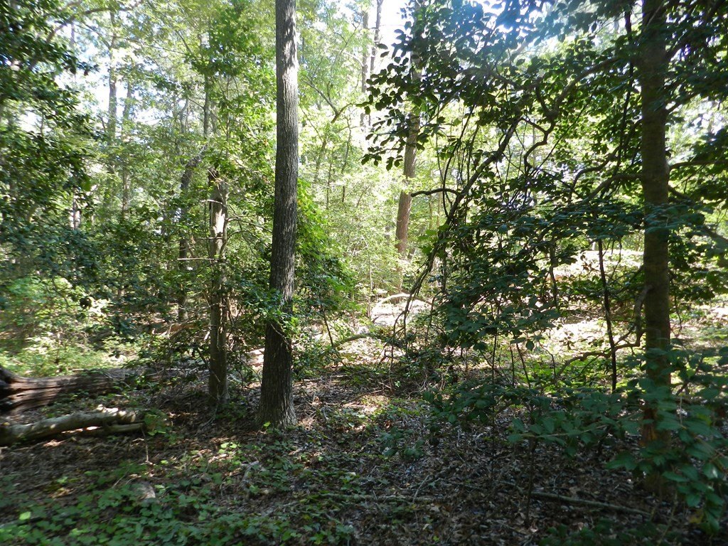 Picture 13