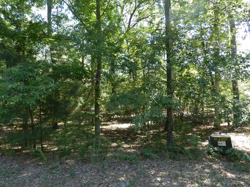 Waterfront Lot in Machipongo, VA