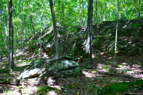 Land, Wallkill, NY