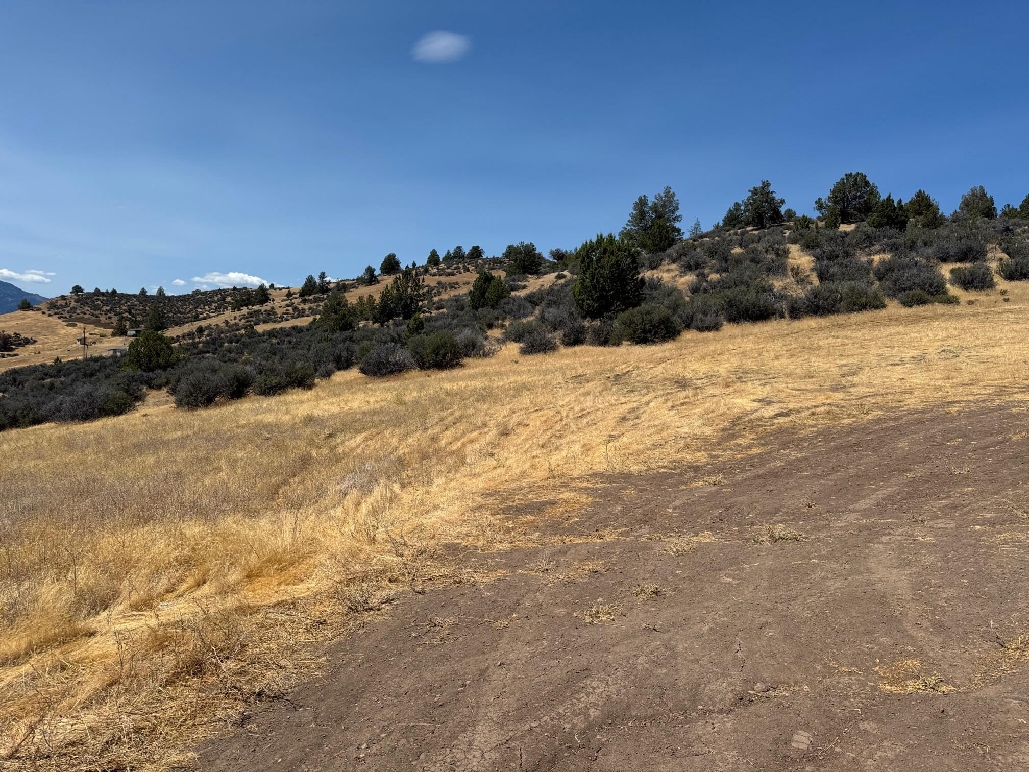 Land with Mountain Views