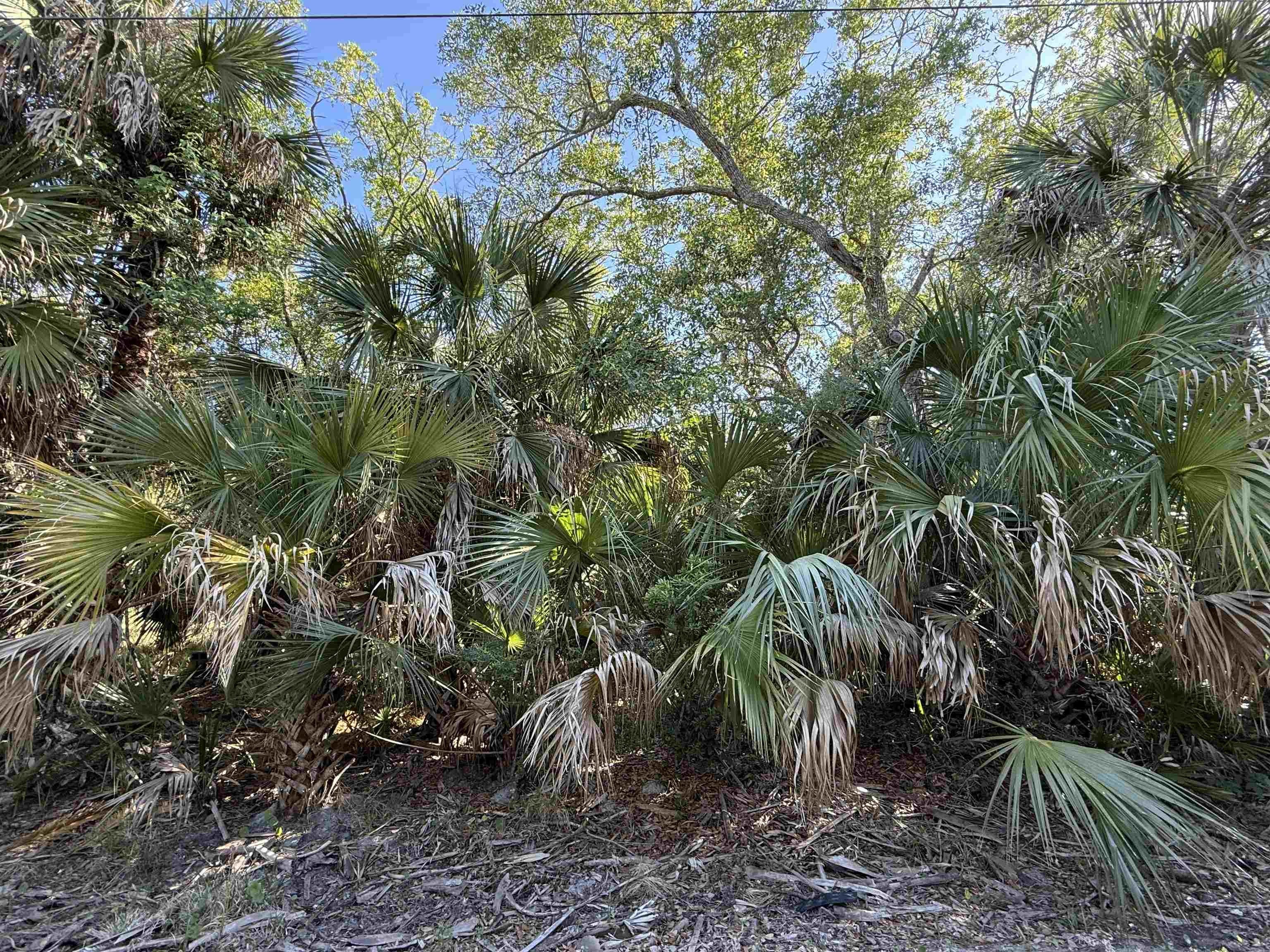 Oyster Bay Homesite Opportunity
