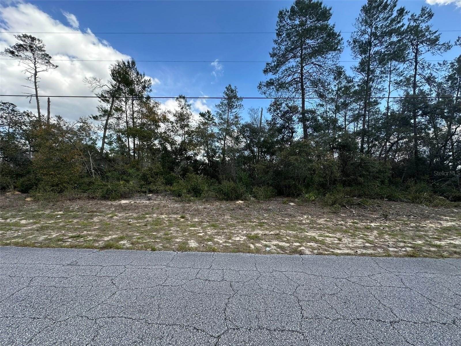Citrus Springs Build-Ready Acreage