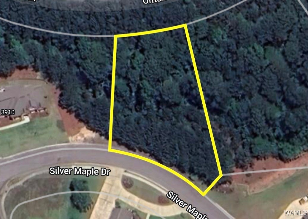 Residential Land in Northport, Alabama