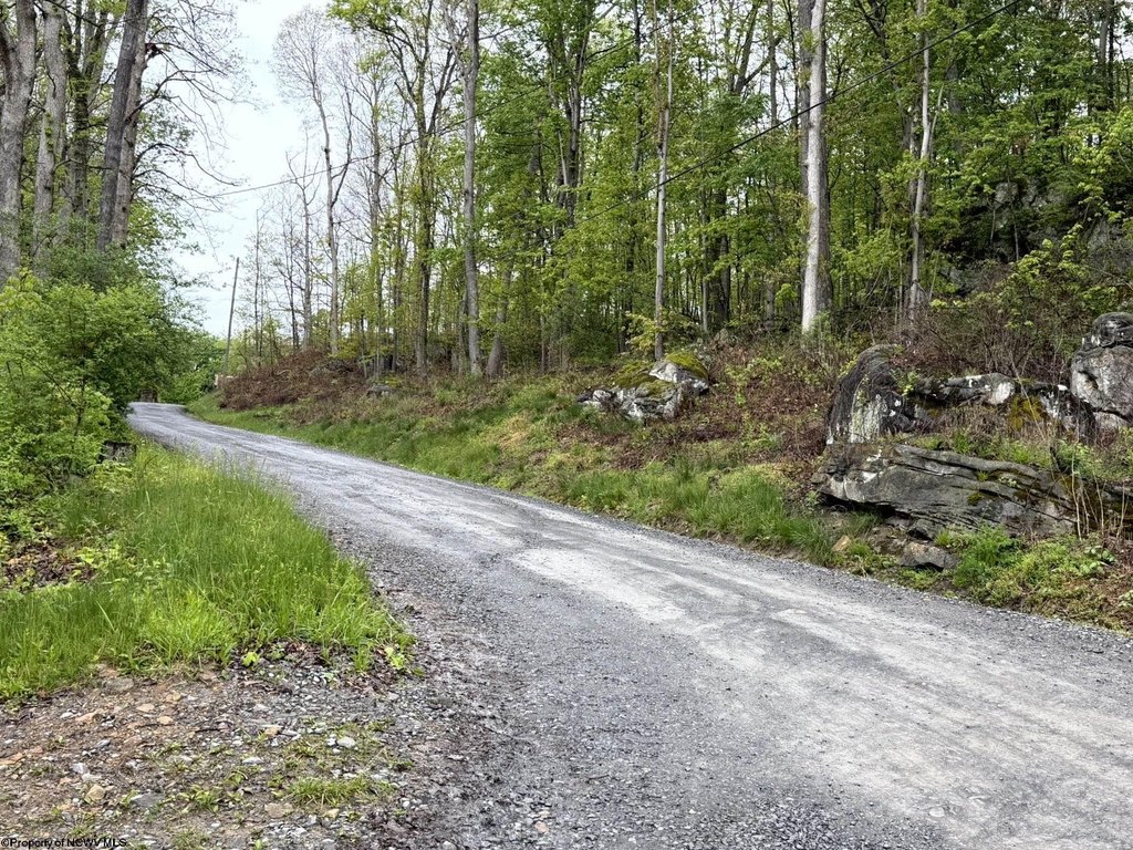 Picture 29