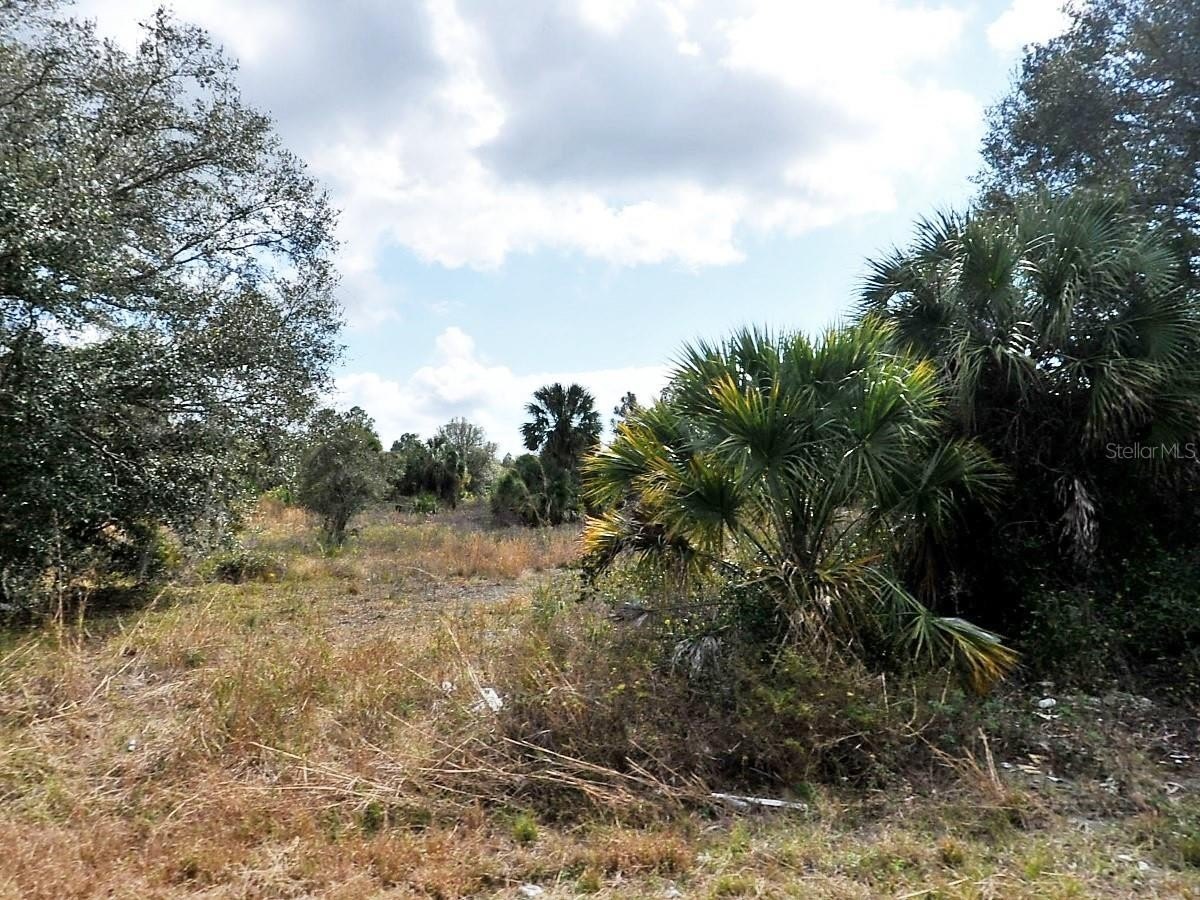 North Port Land Investment Opportunity