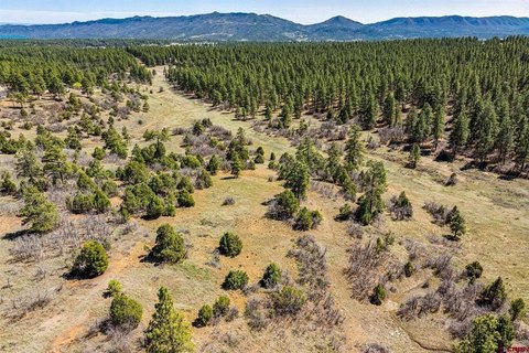 Land For Sale, Hesperus, CO