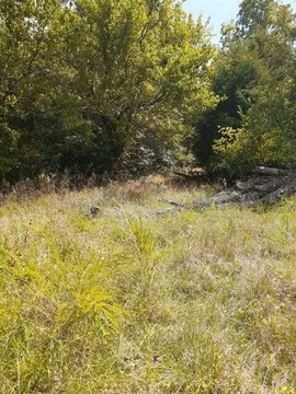 Land, Cynthiana, KY