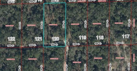 Land, BRONSON, FL