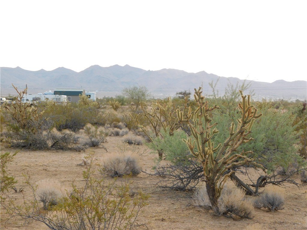 Golden Valley Land For Sale