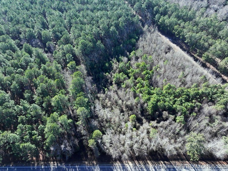 Heavily Wooded Lot in Fairmont, NC