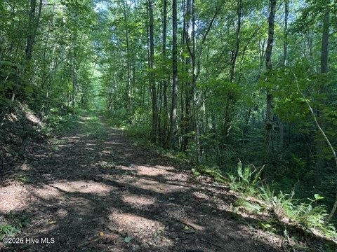 Land, Marble, NC