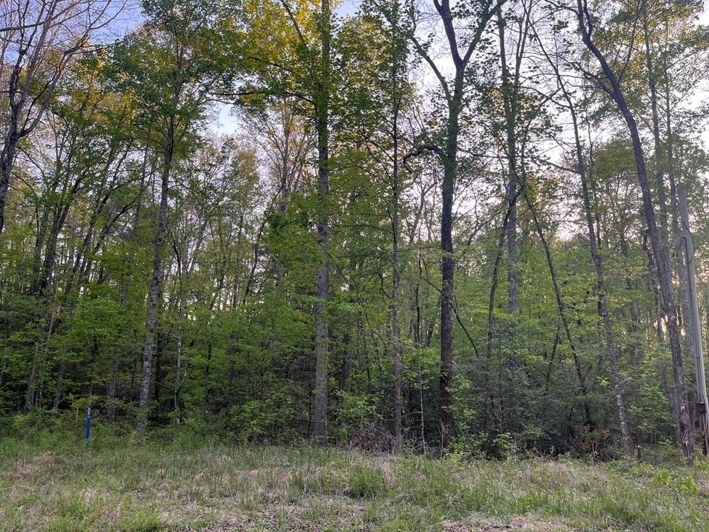 Crossville Land Near Lake