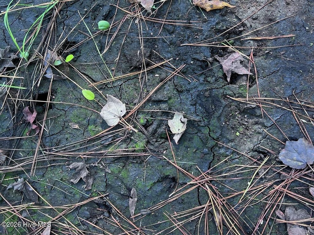 Picture 15