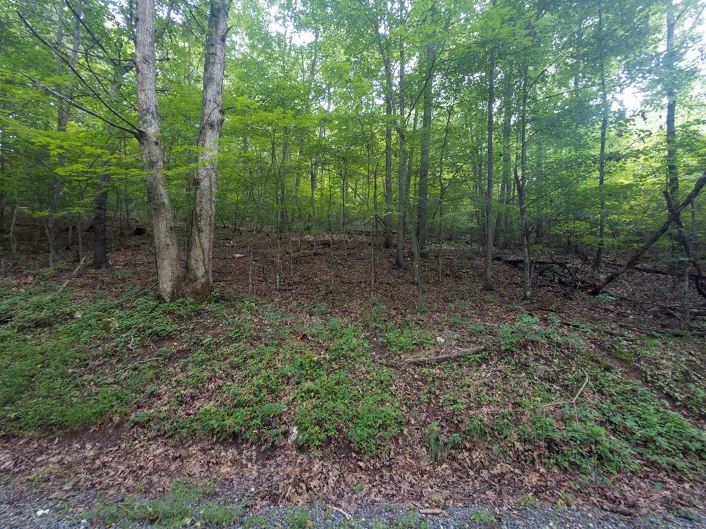 Picture 25