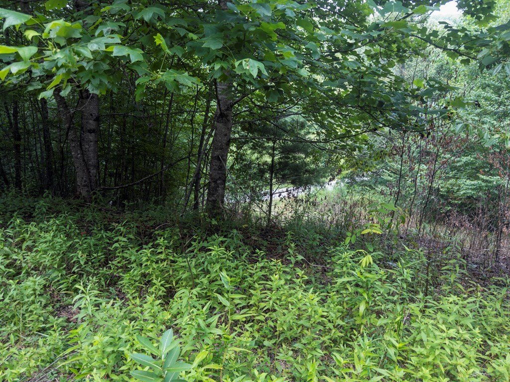 Picture 30