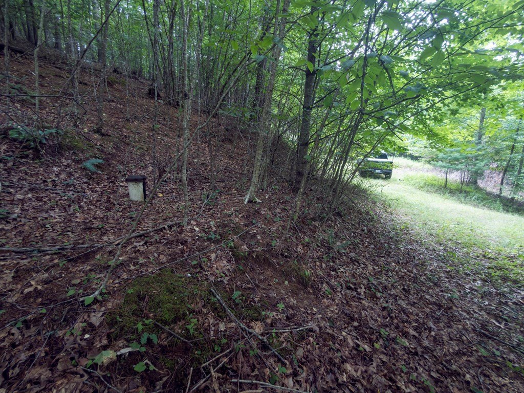 Picture 20