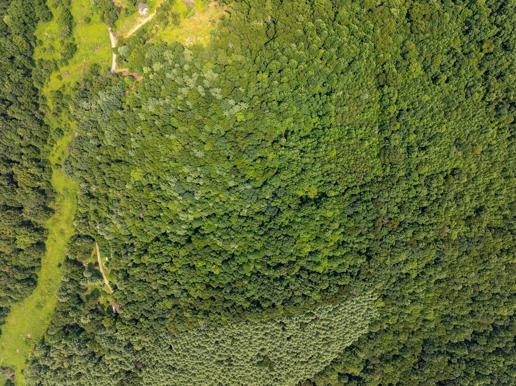 Picture 40