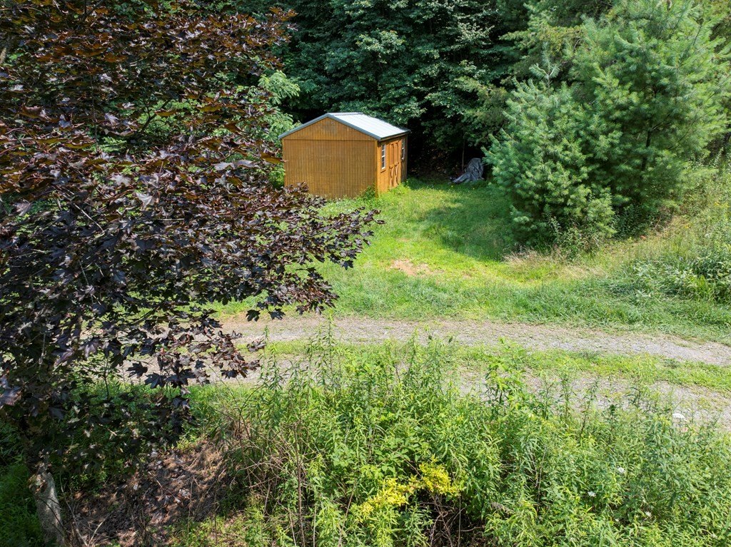 Picture 2