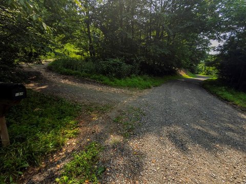 Wooded Recreational Land with Homesites