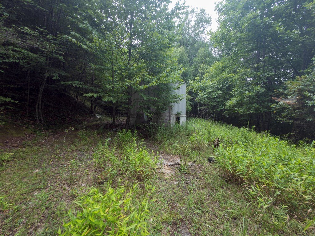 Picture 15
