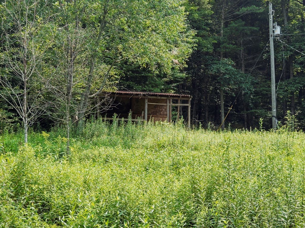 Picture 3
