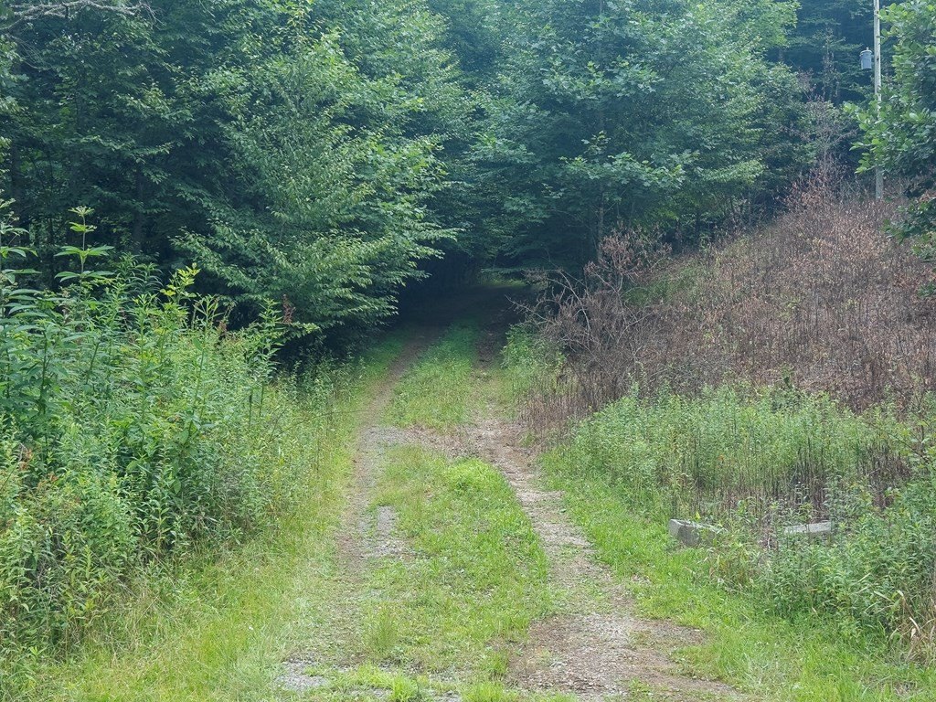 Picture 12