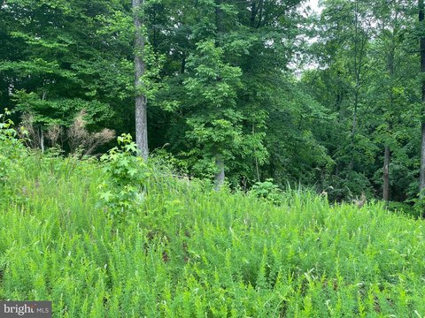 Potomac River 10-Acre Lots