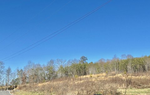 LAND - Tellico Plains, TN