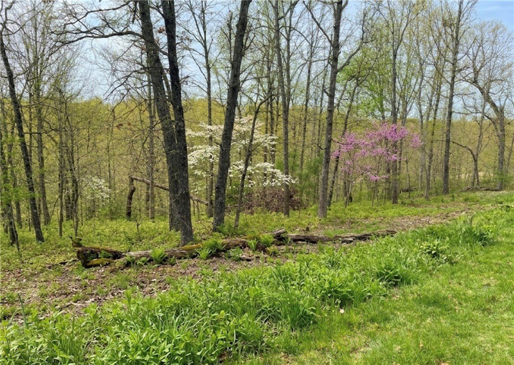Large Homesite in Bella Vista