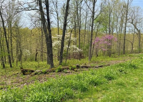 Large Homesite in Bella Vista