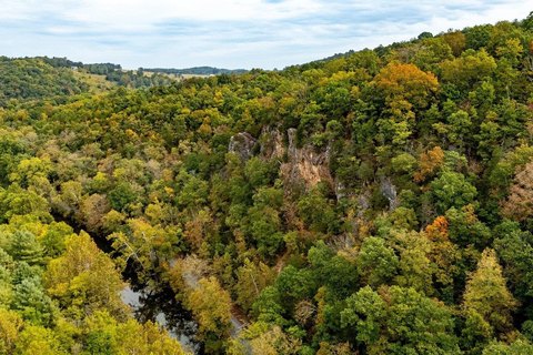 Hunting and Vineyard Land with Springs