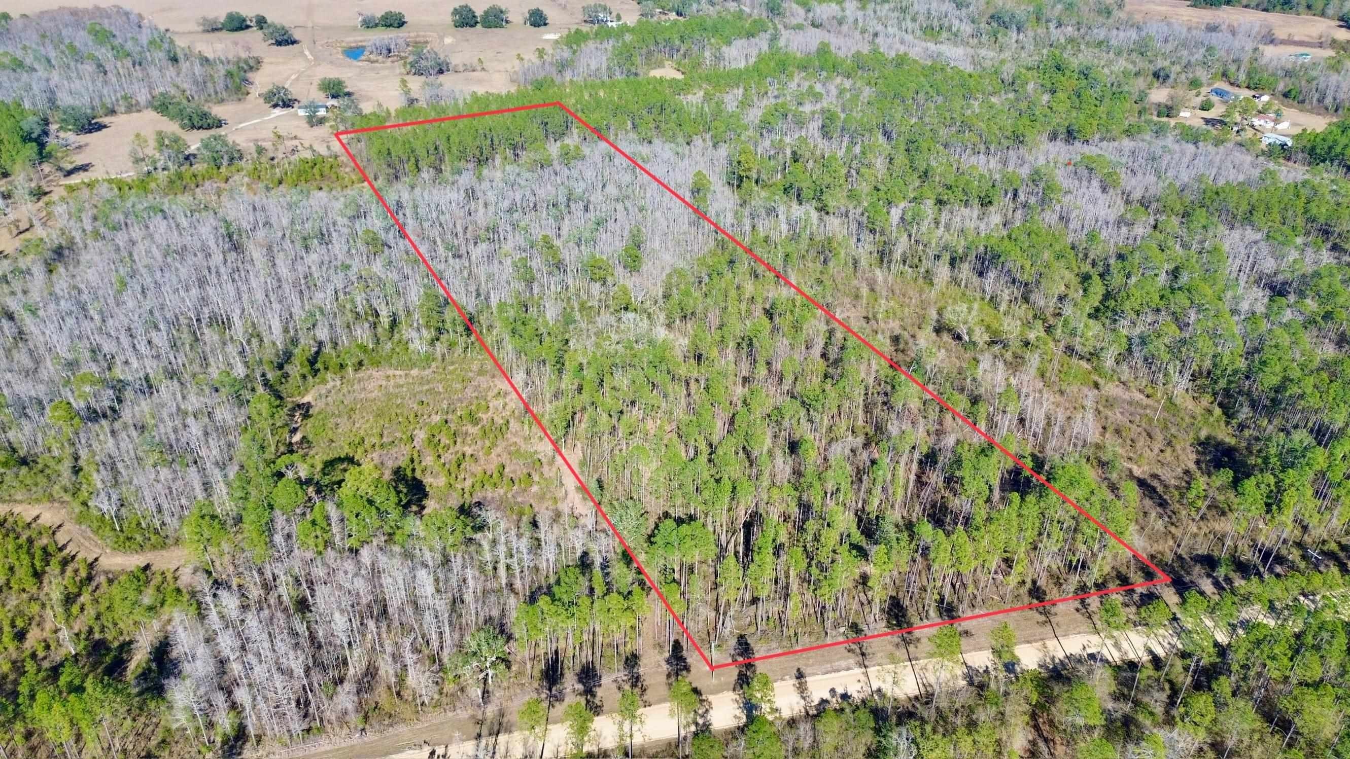 Greenville, FL Wooded Acreage