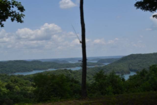 Picture 19