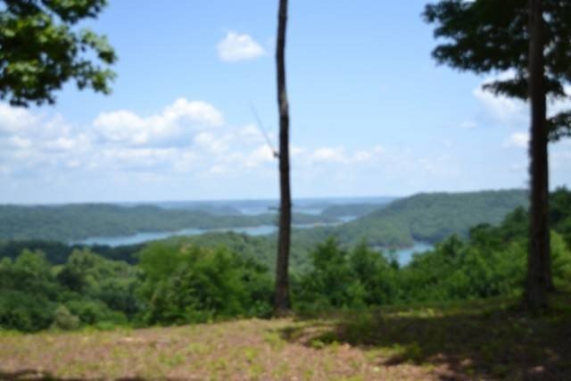 Picture 21