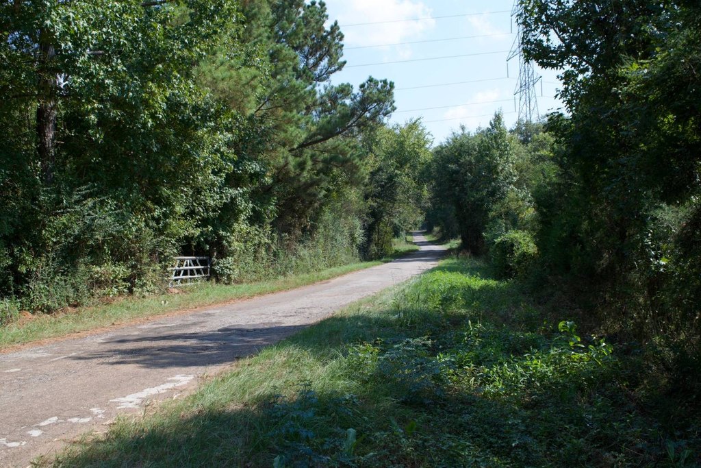 Picture 6